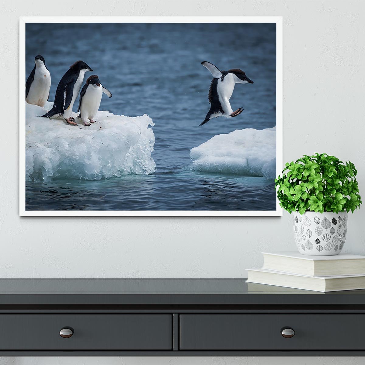 Adelie penguin jumping between two ice floes Framed Print - Canvas Art Rocks -6