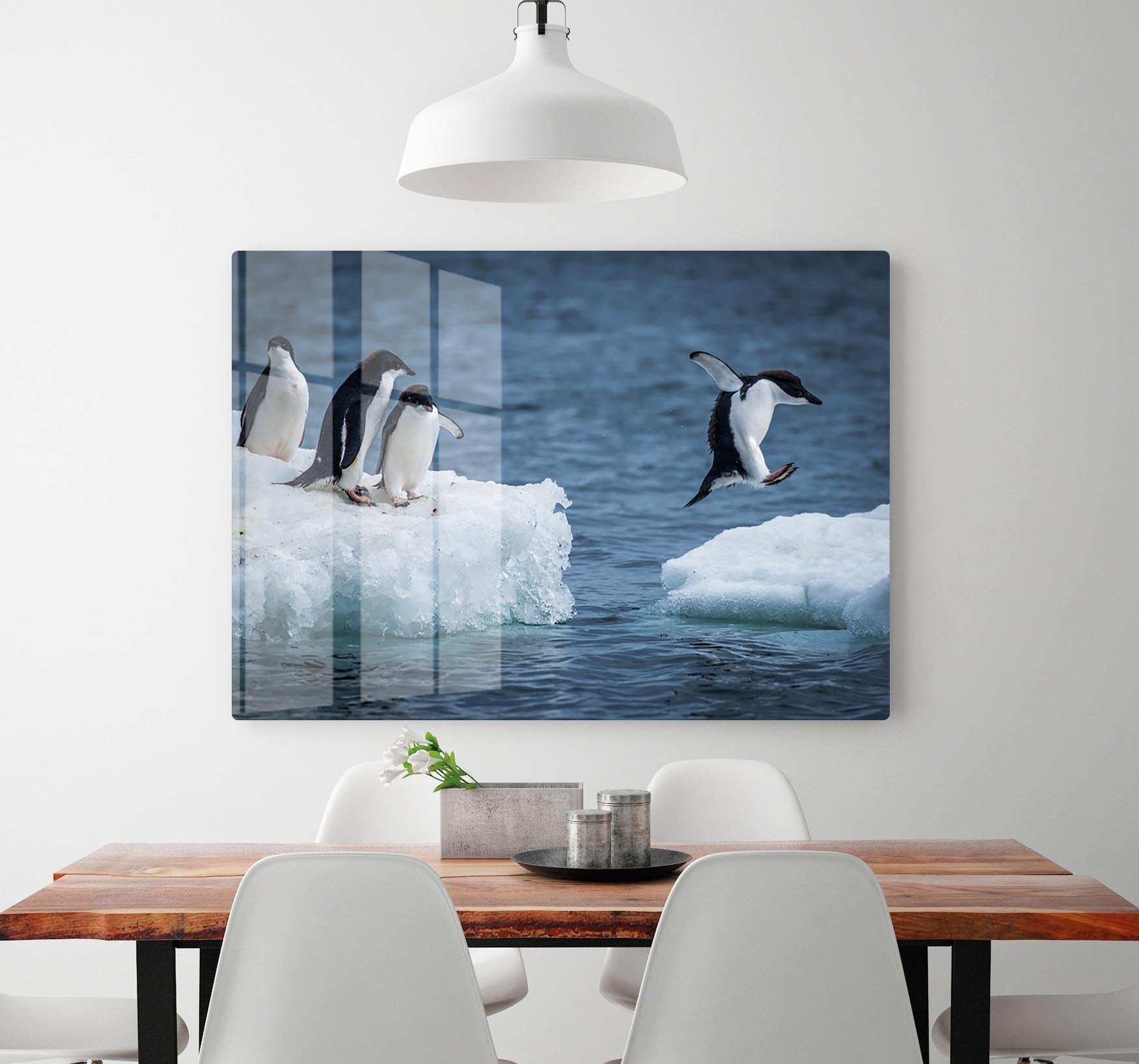 Adelie penguin jumping between two ice floes HD Metal Print - Canvas Art Rocks - 2