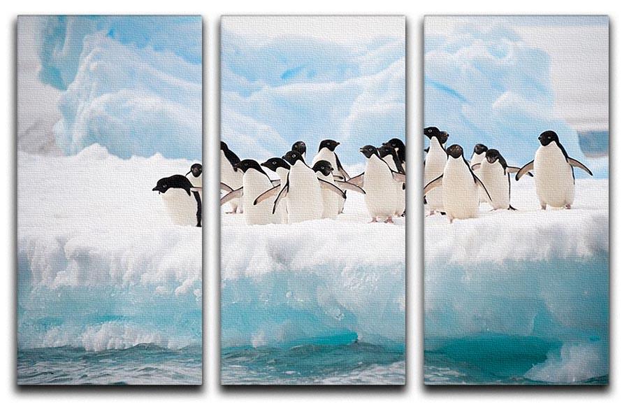 Adelie penguins colony on the iceberg 3 Split Panel Canvas Print - Canvas Art Rocks - 1