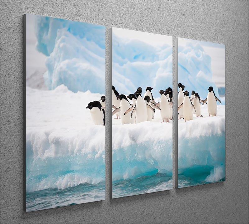 Adelie penguins colony on the iceberg 3 Split Panel Canvas Print - Canvas Art Rocks - 2