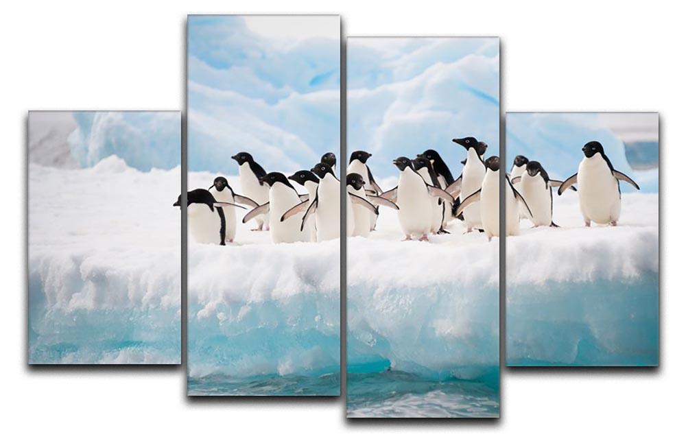 Adelie penguins colony on the iceberg 4 Split Panel Canvas - Canvas Art Rocks - 1