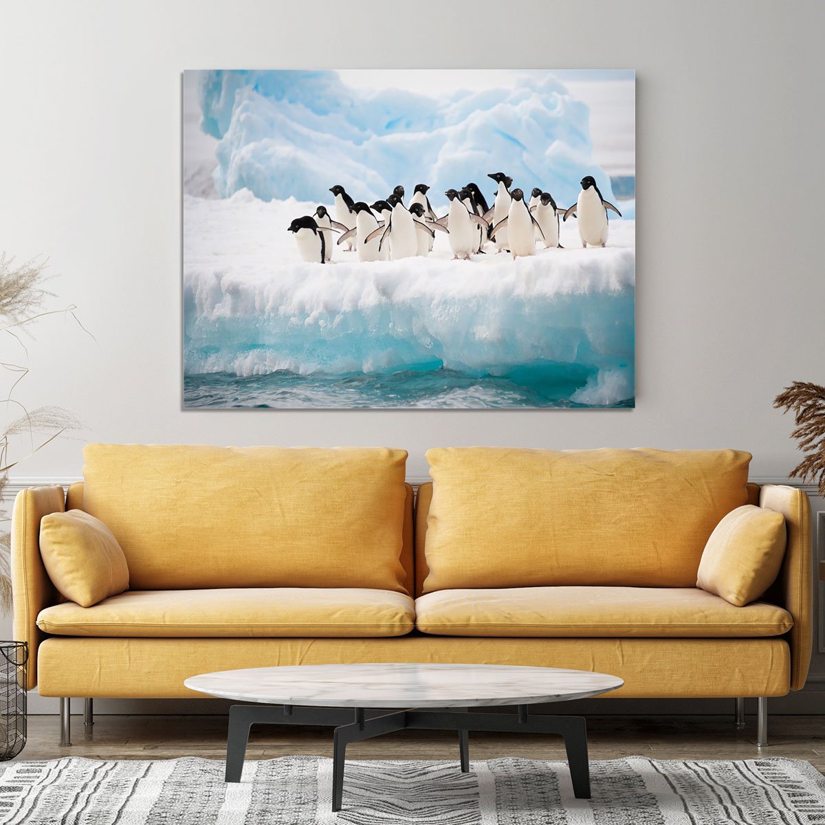 Adelie penguins colony on the iceberg Canvas Print or Poster