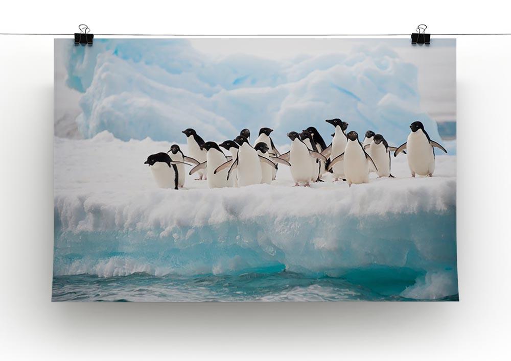 Adelie penguins colony on the iceberg Canvas Print or Poster - Canvas Art Rocks - 2