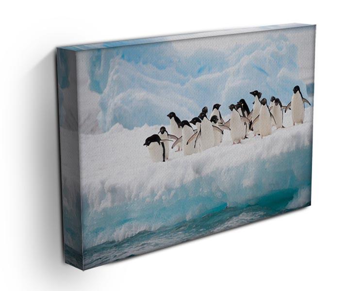 Adelie penguins colony on the iceberg Canvas Print or Poster - Canvas Art Rocks - 3
