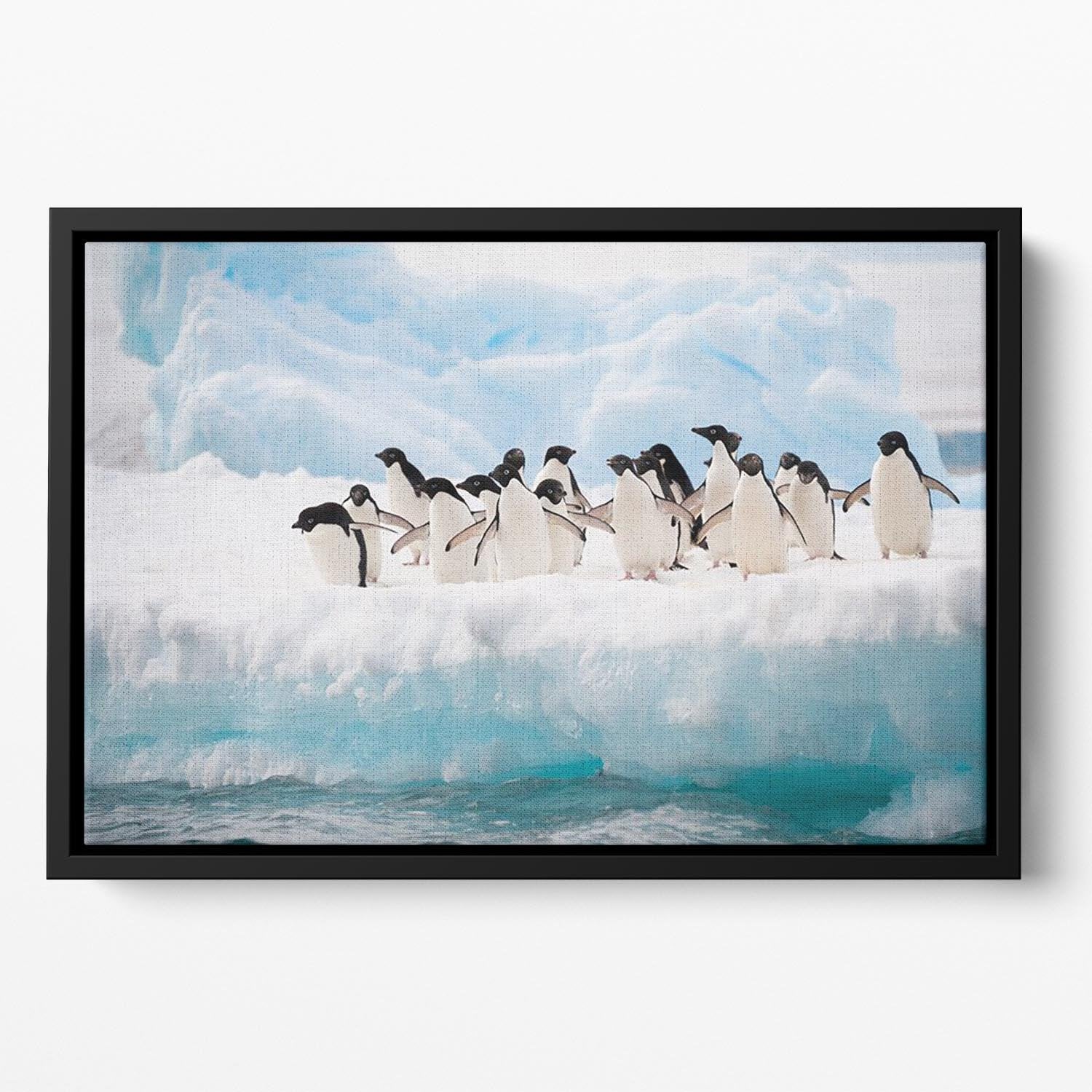 Adelie penguins colony on the iceberg Floating Framed Canvas - Canvas Art Rocks - 2