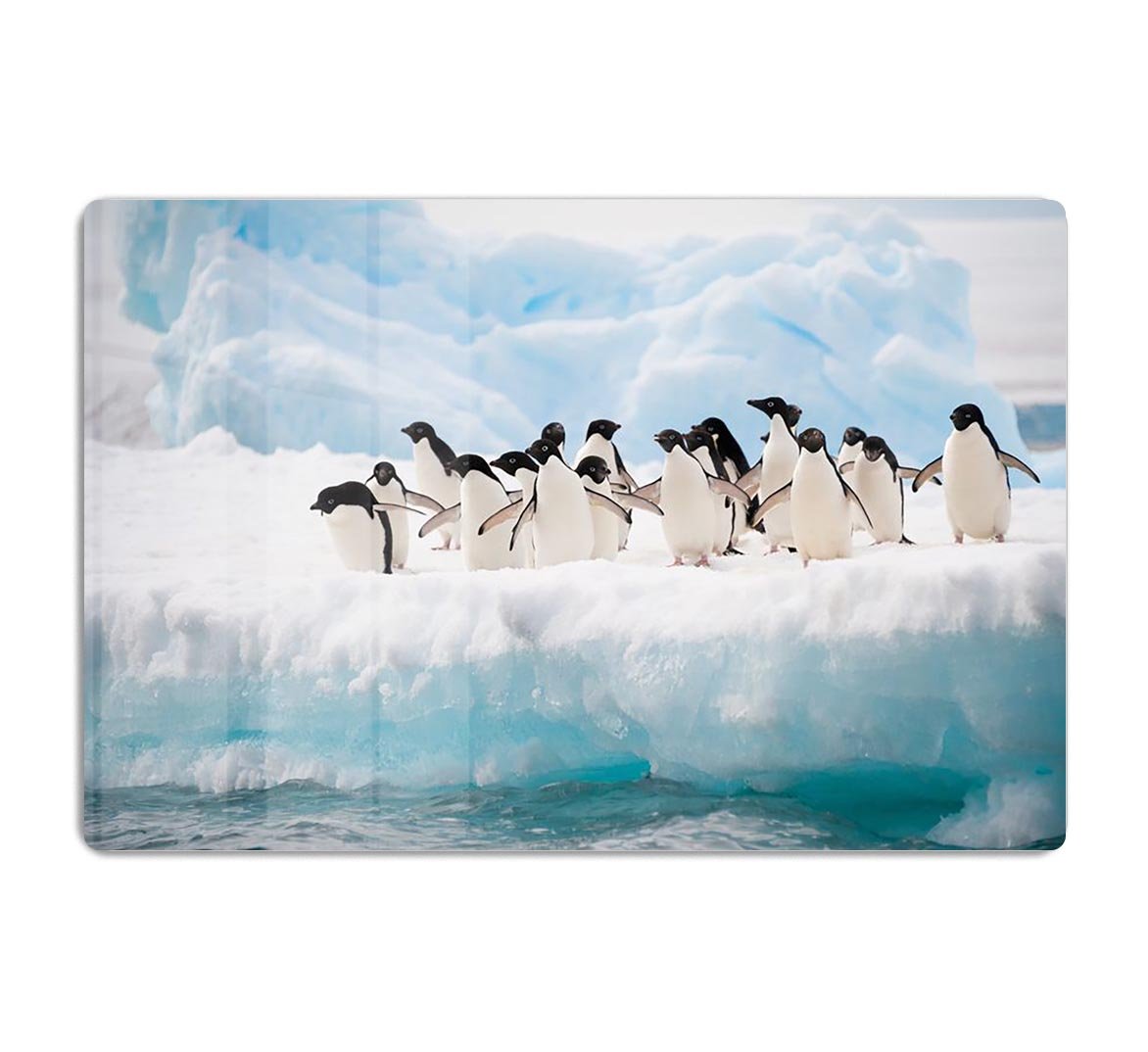 Adelie penguins colony on the iceberg HD Metal Print - Canvas Art Rocks - 1