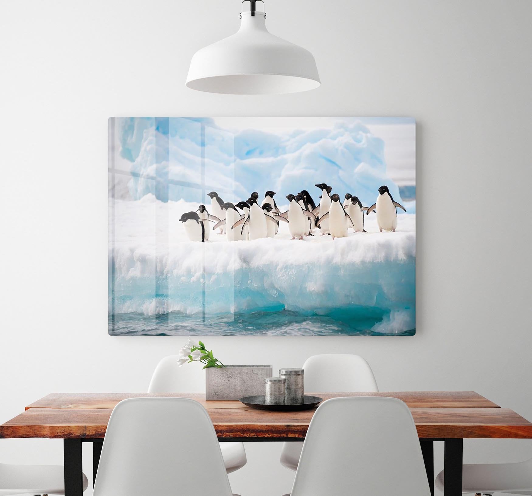 Adelie penguins colony on the iceberg HD Metal Print - Canvas Art Rocks - 2