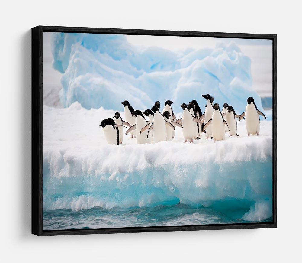 Adelie penguins colony on the iceberg HD Metal Print - Canvas Art Rocks - 6