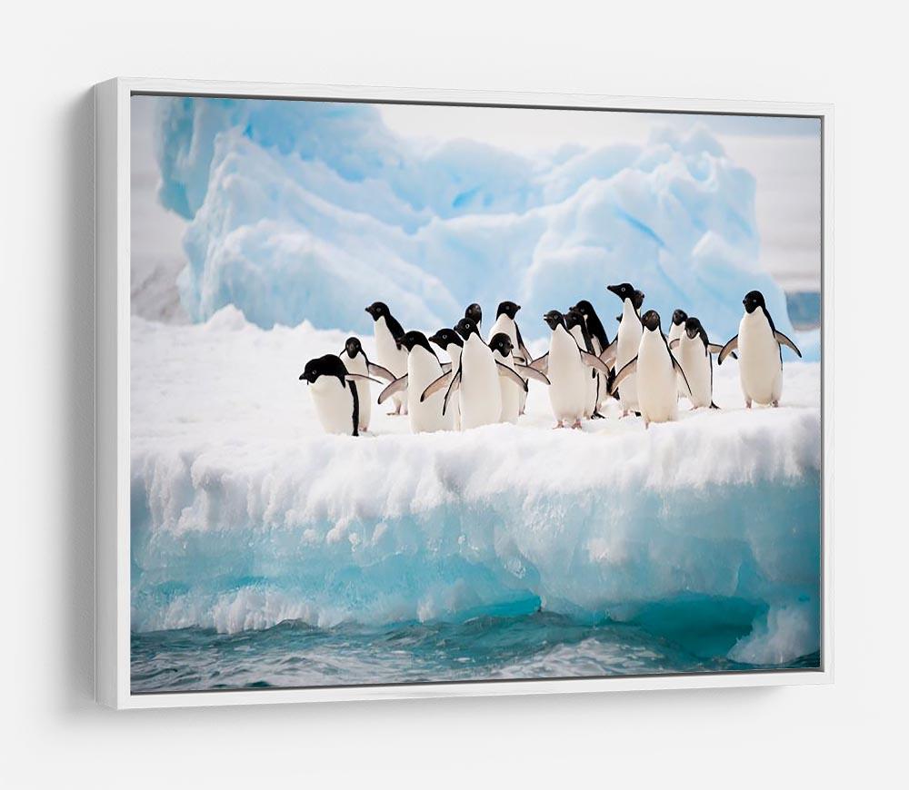 Adelie penguins colony on the iceberg HD Metal Print - Canvas Art Rocks - 7