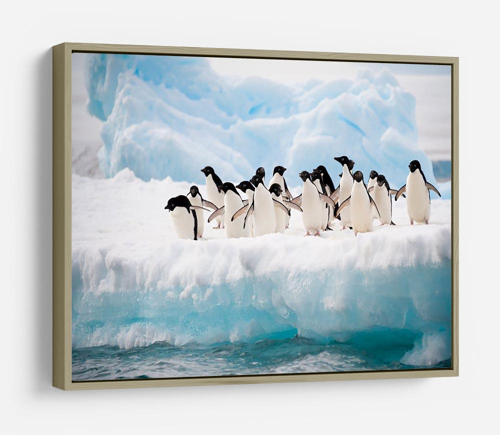 Adelie penguins colony on the iceberg HD Metal Print - Canvas Art Rocks - 8
