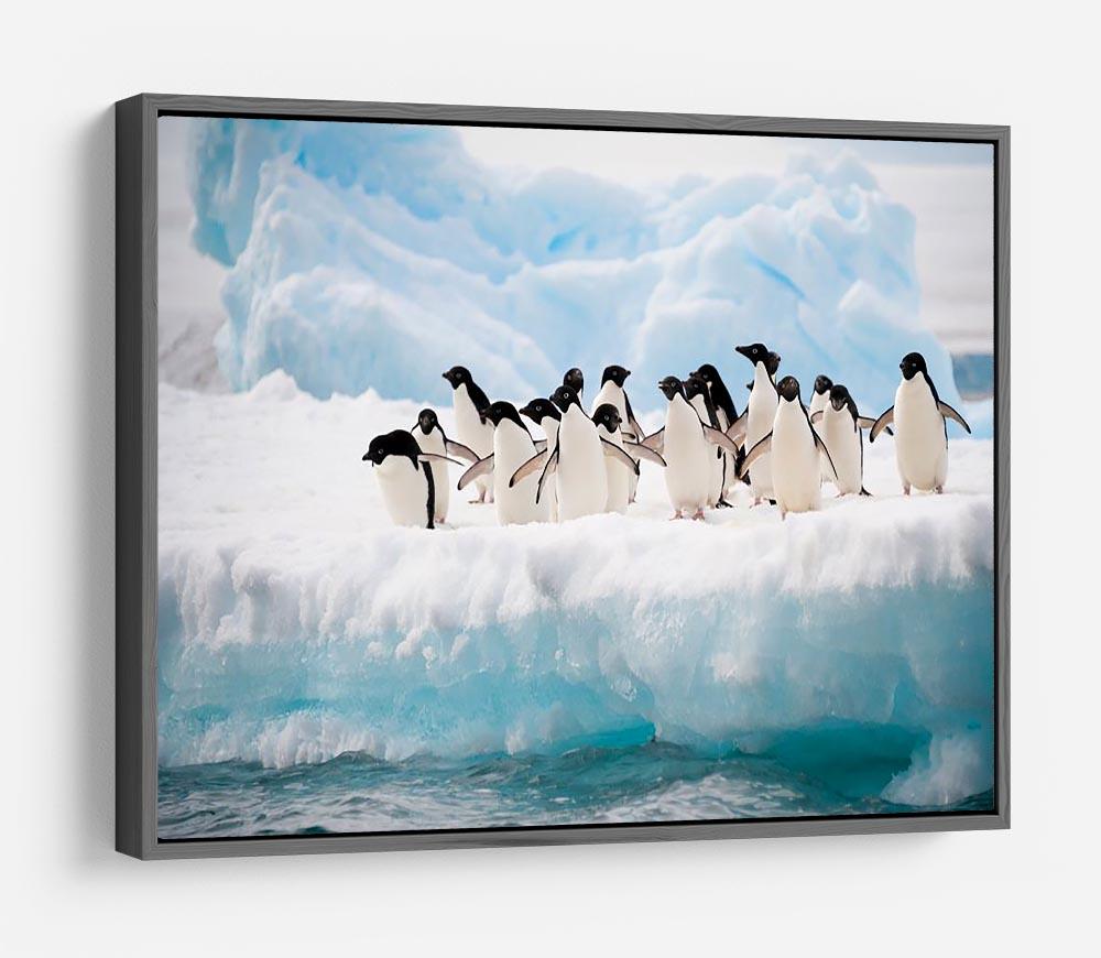 Adelie penguins colony on the iceberg HD Metal Print - Canvas Art Rocks - 9