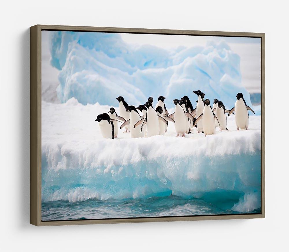 Adelie penguins colony on the iceberg HD Metal Print - Canvas Art Rocks - 10