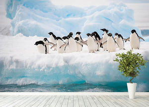Adelie penguins colony on the iceberg Wall Mural Wallpaper - Canvas Art Rocks - 4