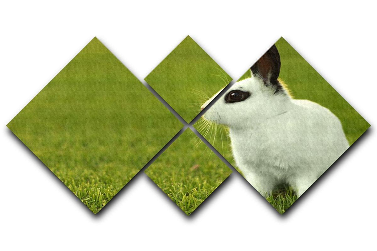 Adorable White Bunny Rabbit 4 Square Multi Panel Canvas - Canvas Art Rocks - 1