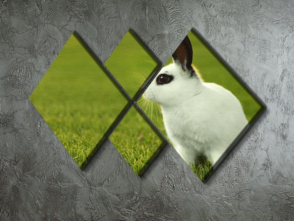 Adorable White Bunny Rabbit 4 Square Multi Panel Canvas - Canvas Art Rocks - 2