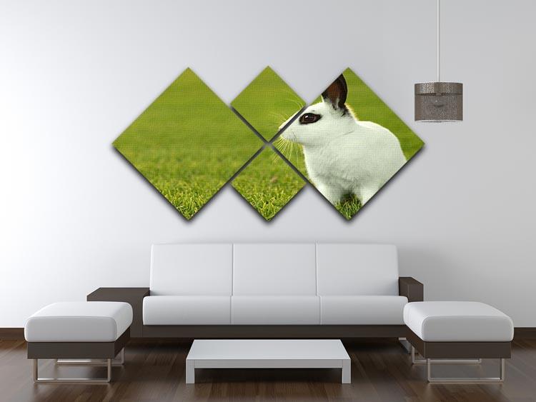 Adorable White Bunny Rabbit 4 Square Multi Panel Canvas - Canvas Art Rocks - 3