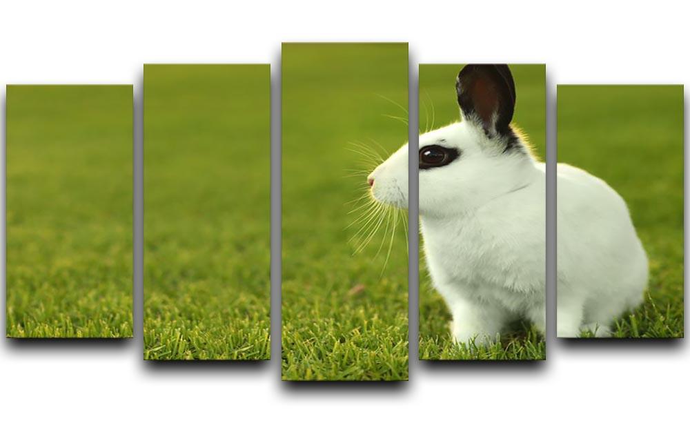 Adorable White Bunny Rabbit 5 Split Panel Canvas - Canvas Art Rocks - 1