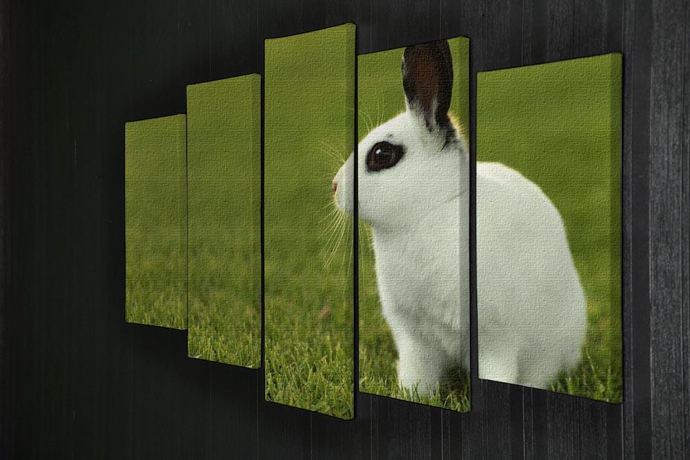 Adorable White Bunny Rabbit 5 Split Panel Canvas - Canvas Art Rocks - 2