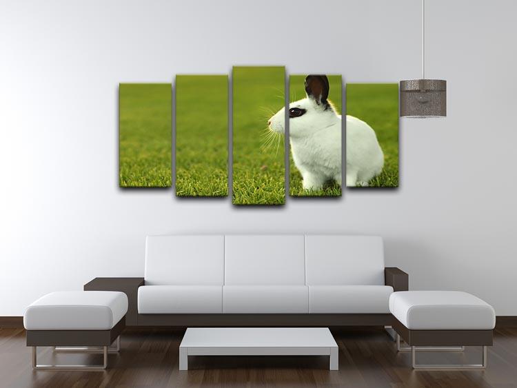 Adorable White Bunny Rabbit 5 Split Panel Canvas - Canvas Art Rocks - 3