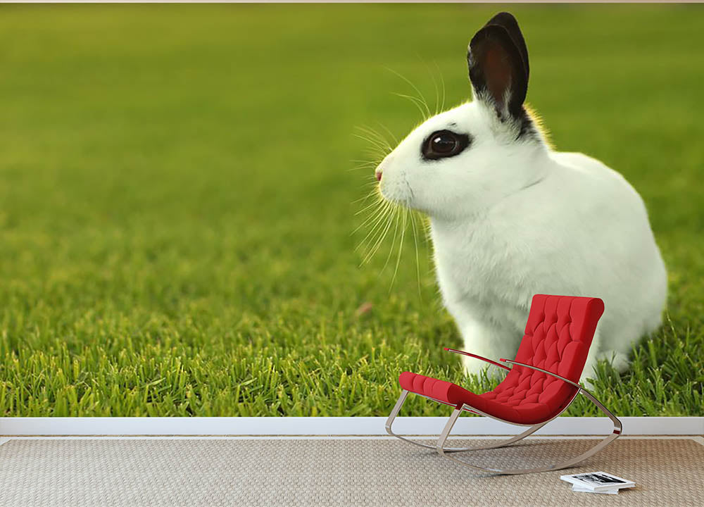 Adorable White Bunny Rabbit Wall Mural Wallpaper - Canvas Art Rocks - 2