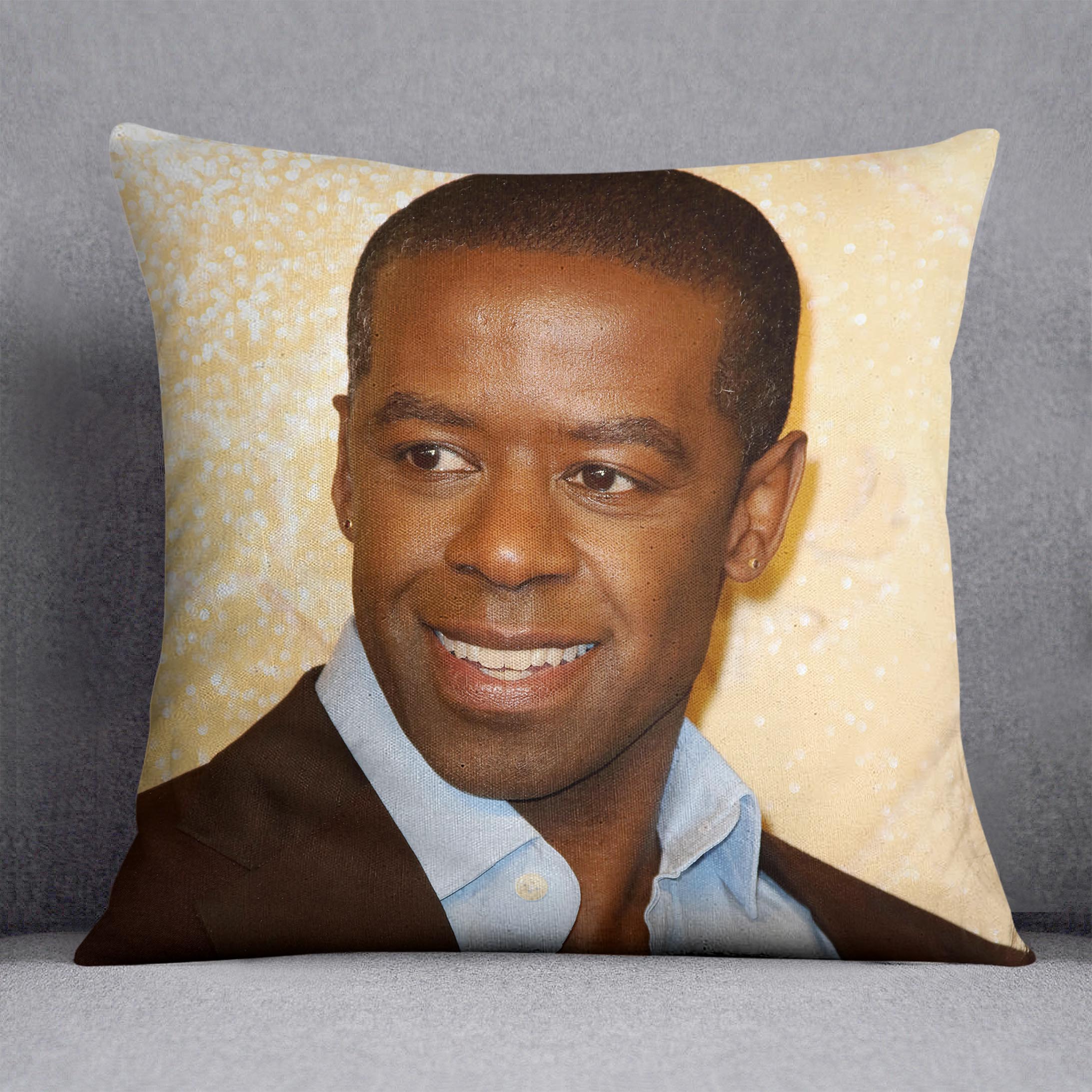 Adrian Lester Cushion