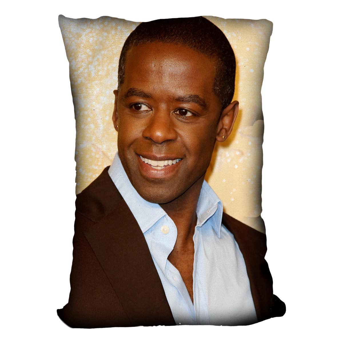 Adrian Lester Cushion