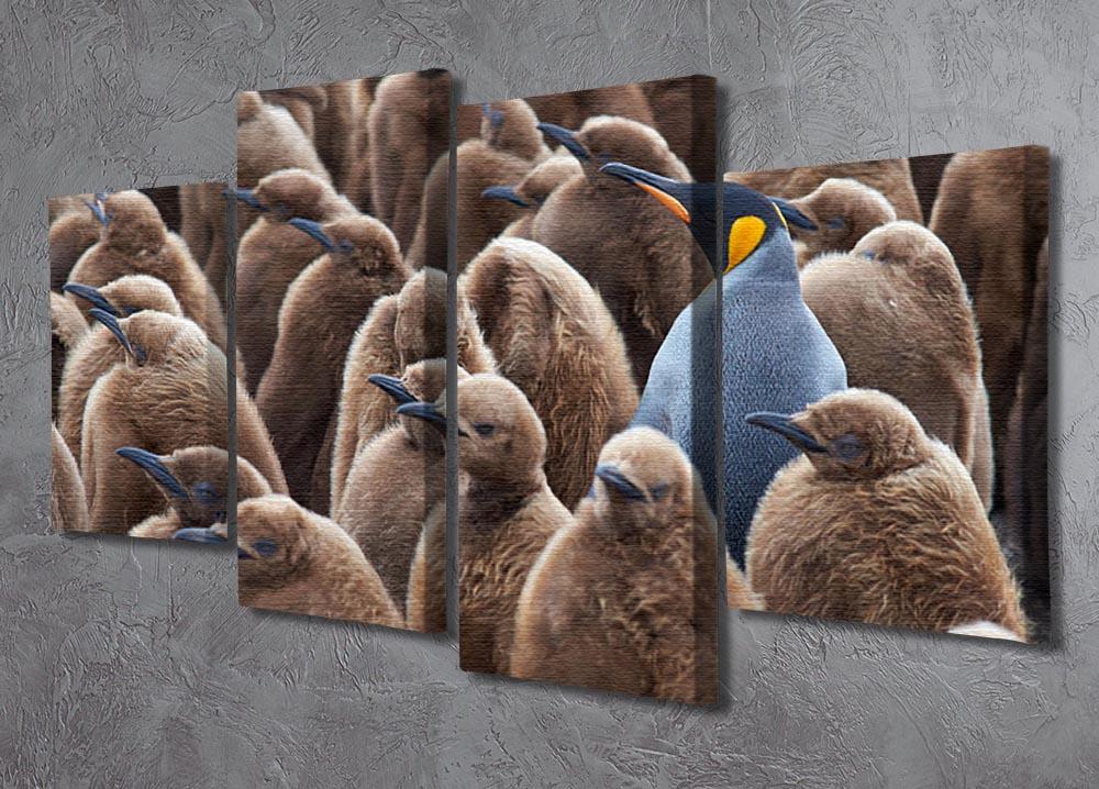 Adult King Penguin Aptenodytes patagonicus standing amongst a large group 4 Split Panel Canvas - Canvas Art Rocks - 2