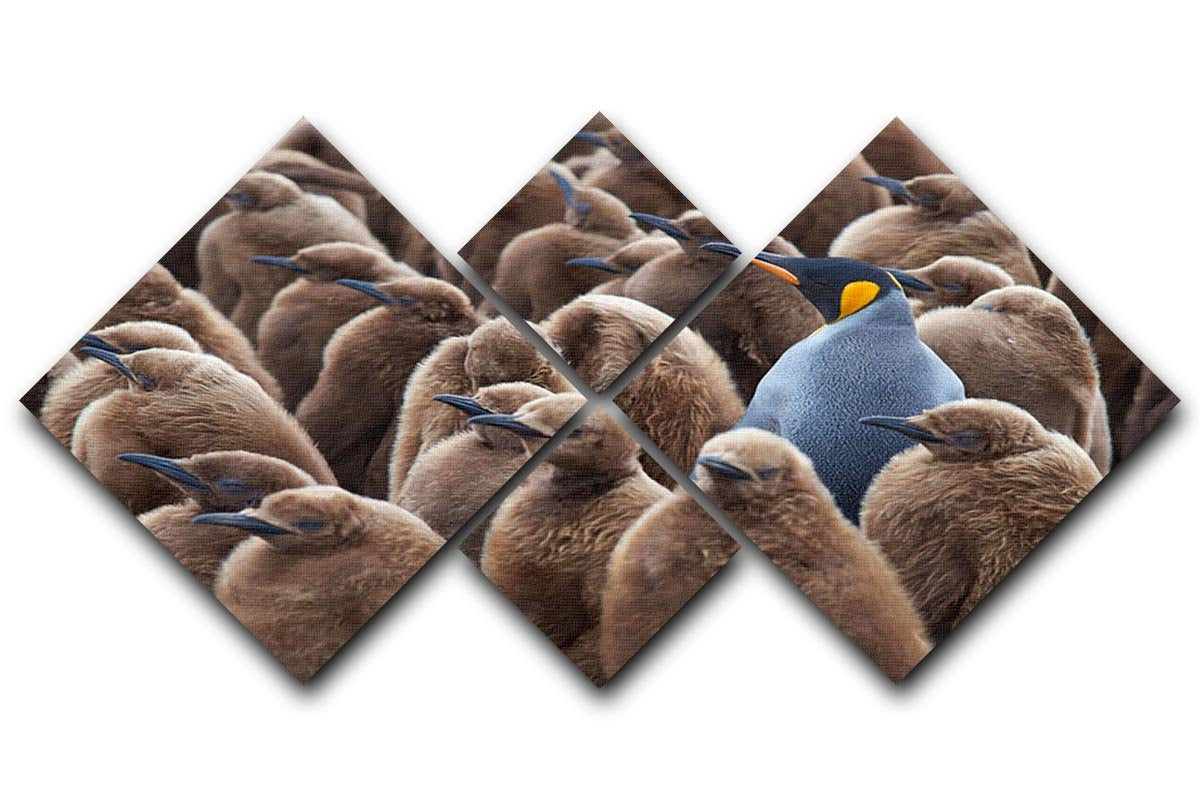 Adult King Penguin Aptenodytes patagonicus standing amongst a large group 4 Square Multi Panel Canvas - Canvas Art Rocks - 1