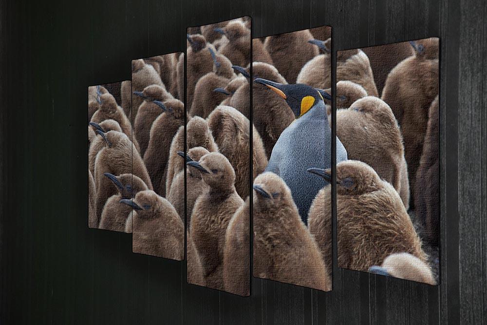 Adult King Penguin Aptenodytes patagonicus standing amongst a large group 5 Split Panel Canvas - Canvas Art Rocks - 2