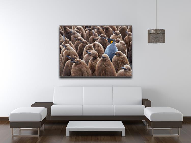 Adult King Penguin Aptenodytes patagonicus standing amongst a large group Canvas Print or Poster - Canvas Art Rocks - 4