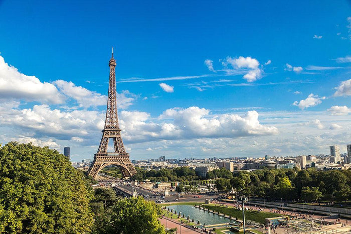 Aerial view of the Eiffel Tower Wall Mural Wallpaper