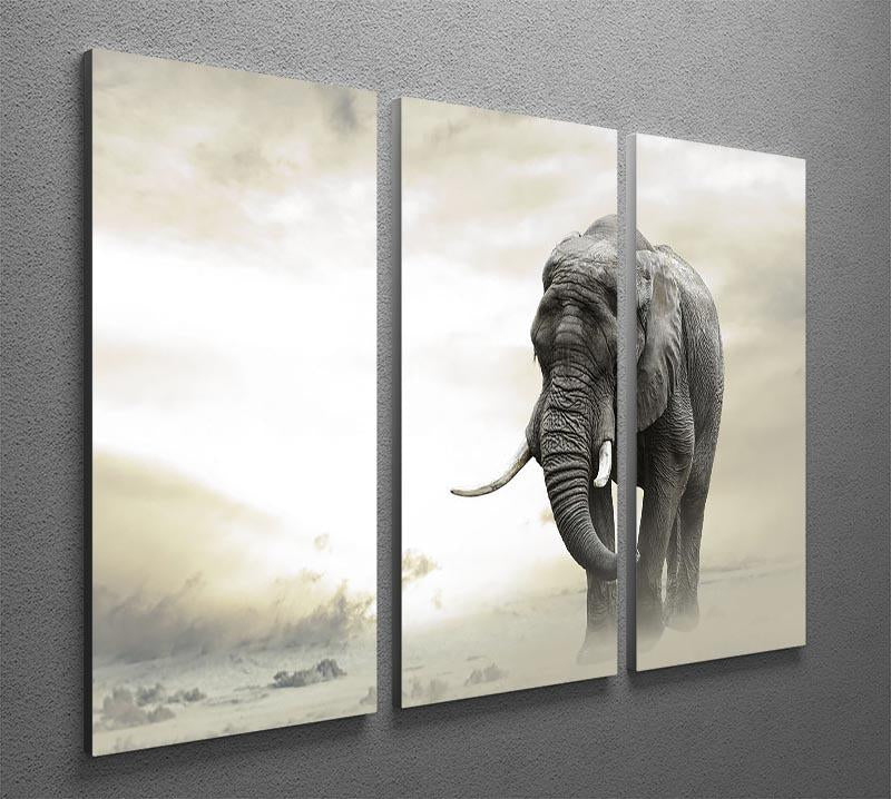 African elephant male walking alone in desert at sunset 3 Split Panel Canvas Print - Canvas Art Rocks - 2