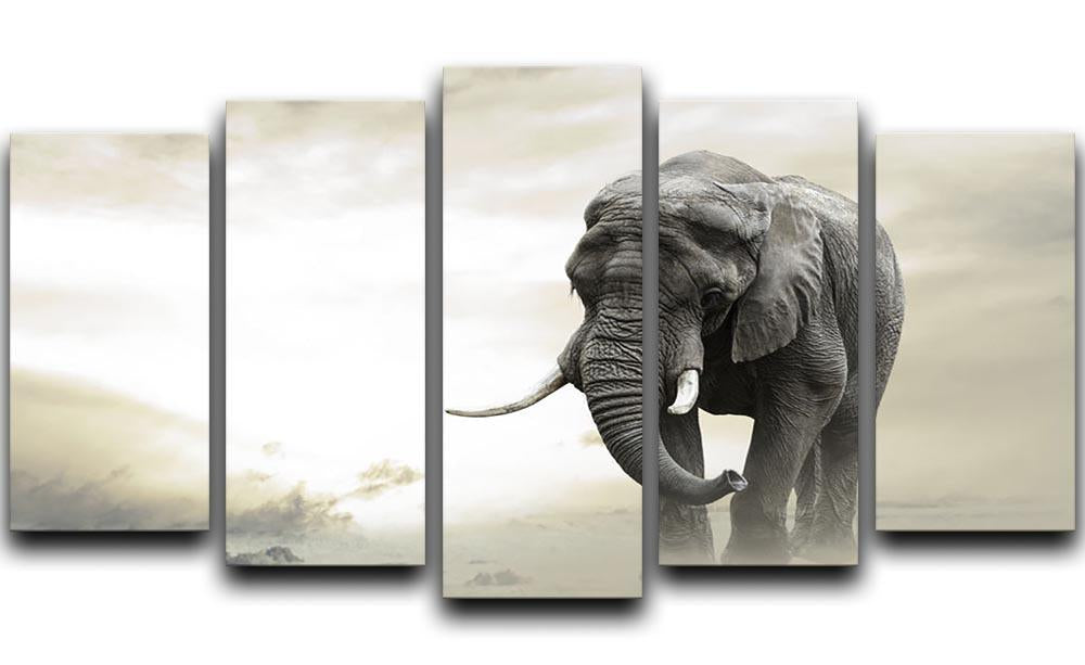 African elephant male walking alone in desert at sunset 5 Split Panel Canvas - Canvas Art Rocks - 1