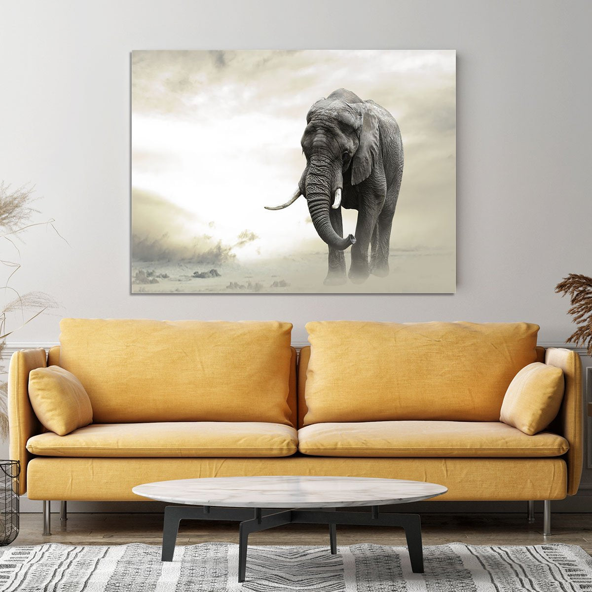African elephant male walking alone in desert at sunset Canvas Print or Poster