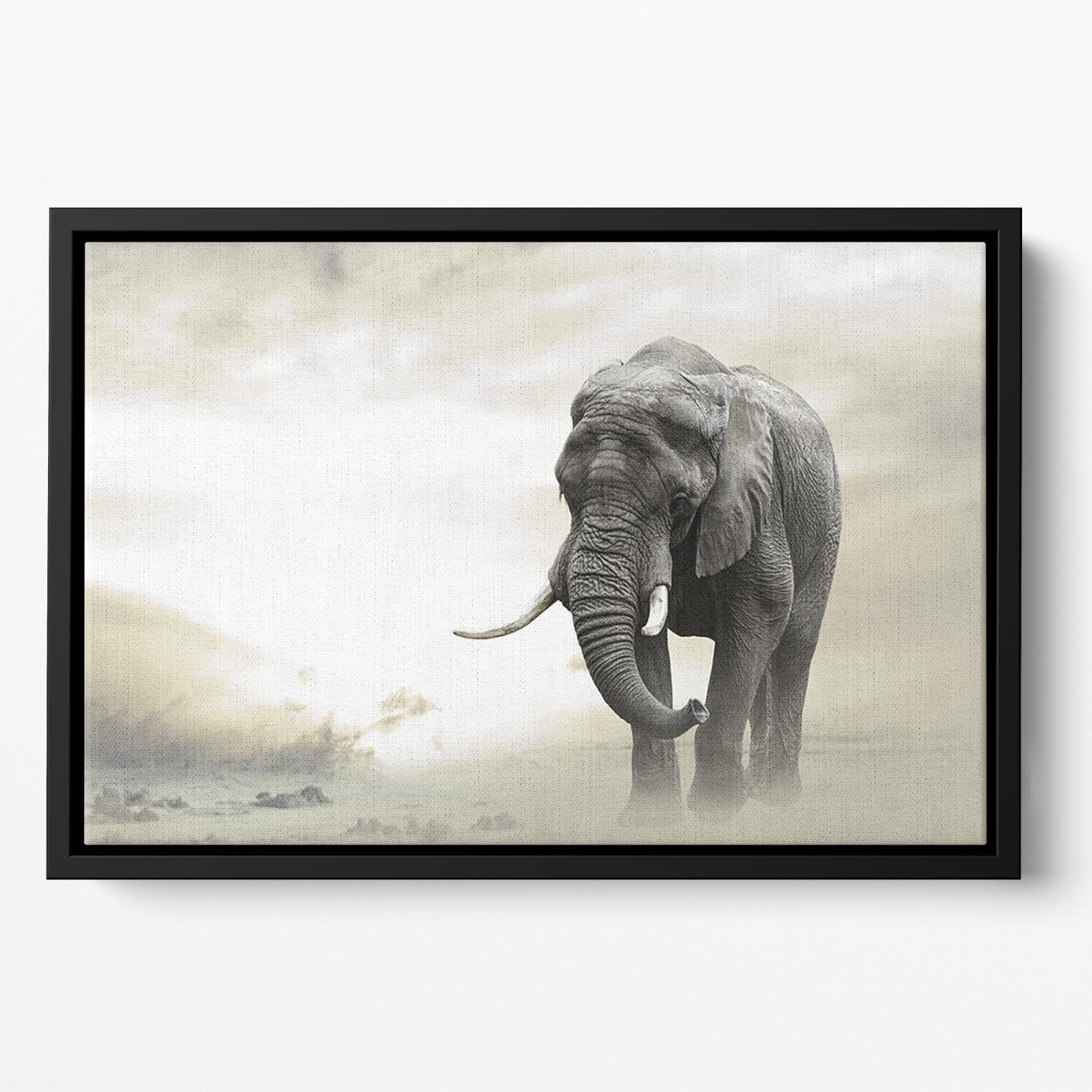 African elephant male walking alone in desert at sunset Floating Framed Canvas - Canvas Art Rocks - 2