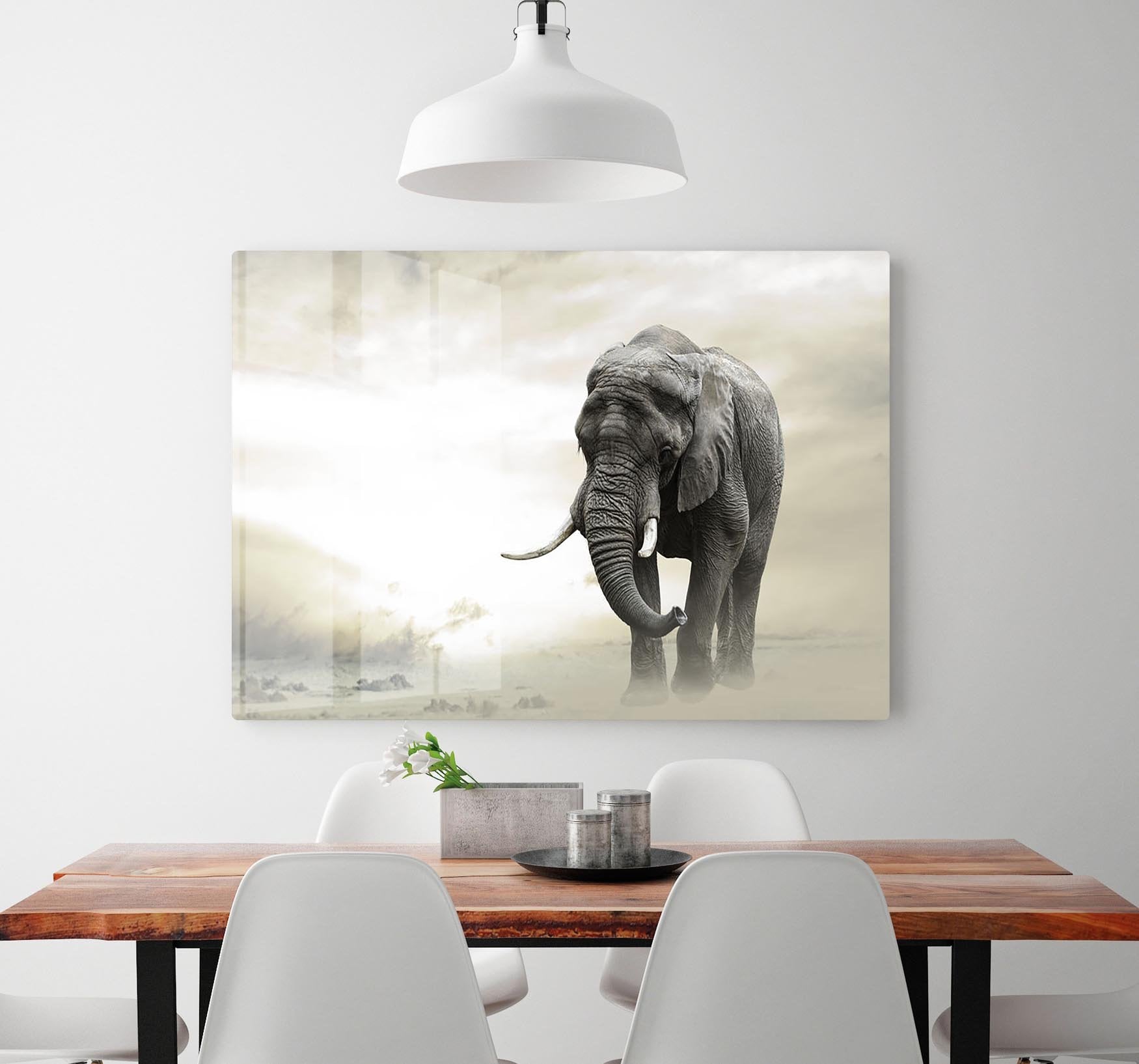 African elephant male walking alone in desert at sunset HD Metal Print - Canvas Art Rocks - 2