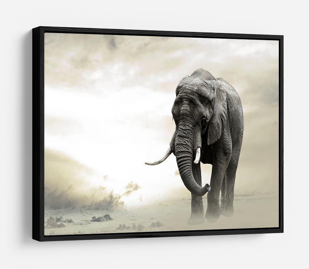 African elephant male walking alone in desert at sunset HD Metal Print - Canvas Art Rocks - 6
