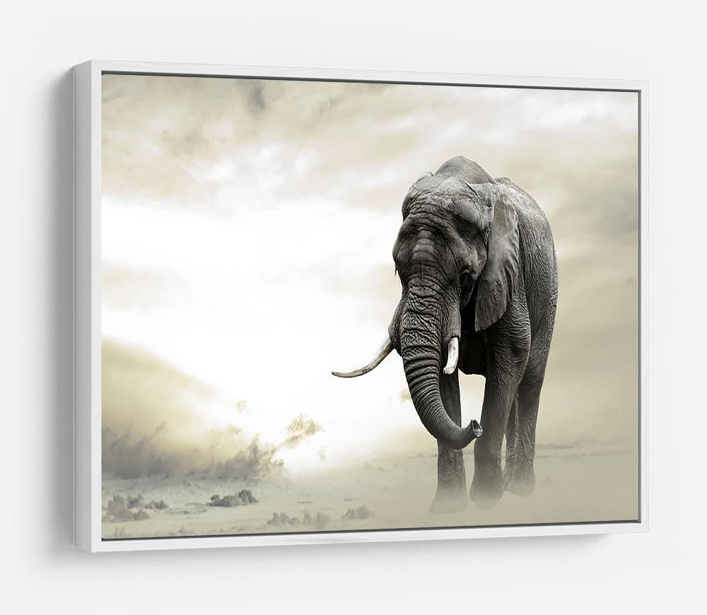 African elephant male walking alone in desert at sunset HD Metal Print - Canvas Art Rocks - 7