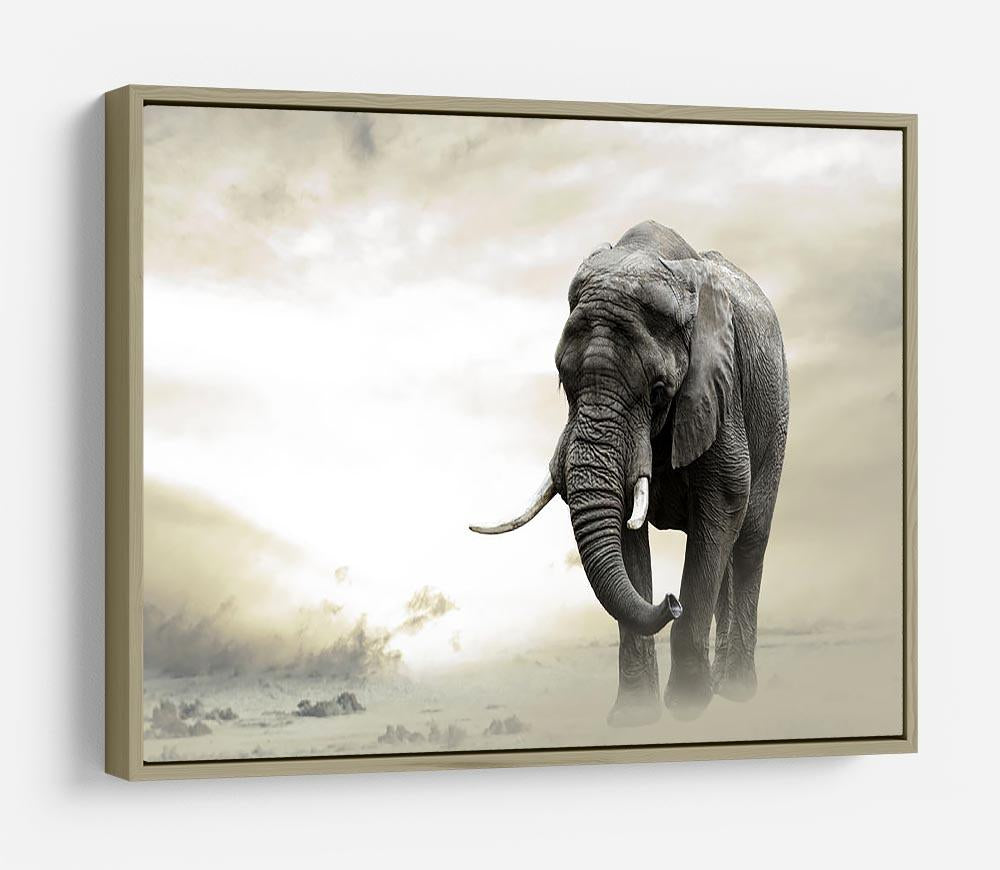 African elephant male walking alone in desert at sunset HD Metal Print - Canvas Art Rocks - 8