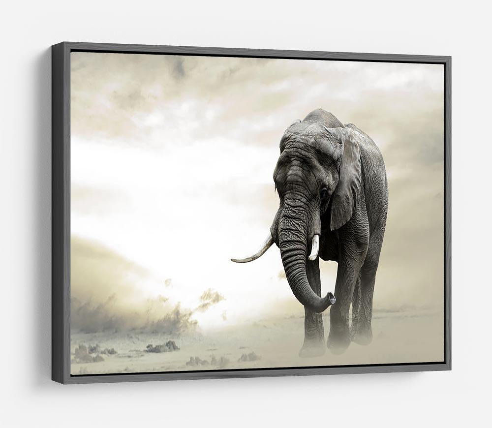 African elephant male walking alone in desert at sunset HD Metal Print - Canvas Art Rocks - 9