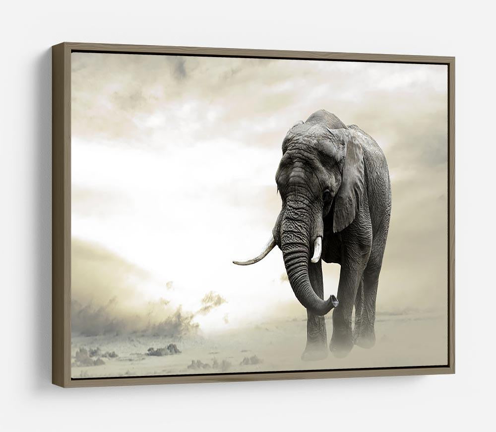 African elephant male walking alone in desert at sunset HD Metal Print - Canvas Art Rocks - 10