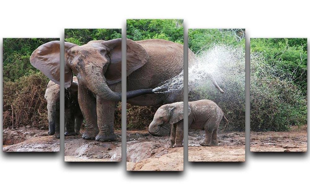 African elephant mother and baby cooling off 5 Split Panel Canvas - Canvas Art Rocks - 1
