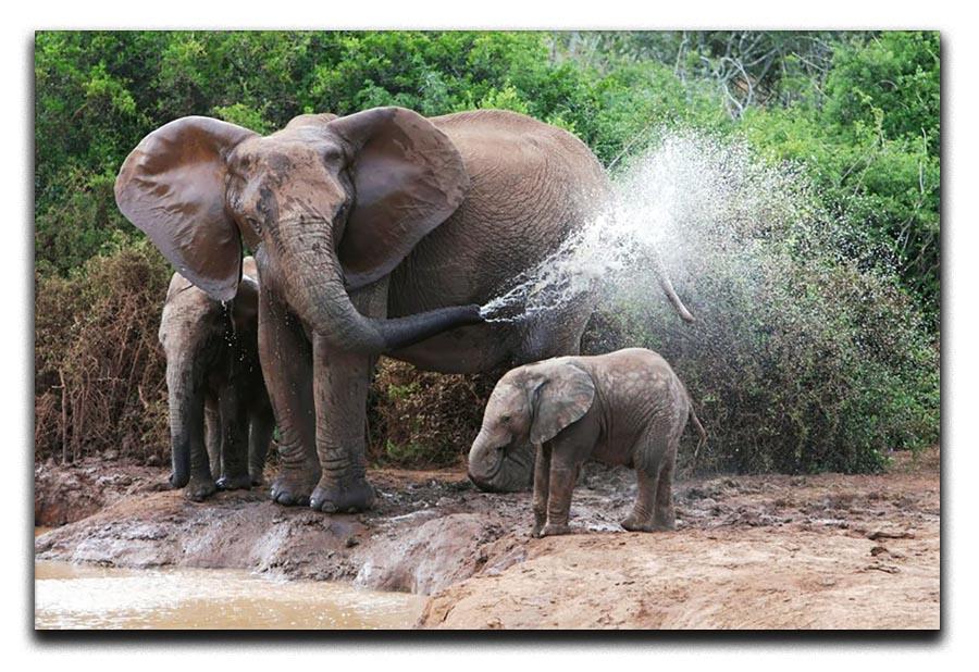 African elephant mother and baby cooling off Canvas Print or Poster - Canvas Art Rocks - 1