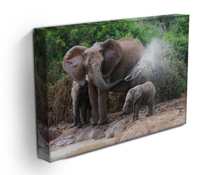 African elephant mother and baby cooling off Canvas Print or Poster - Canvas Art Rocks - 3