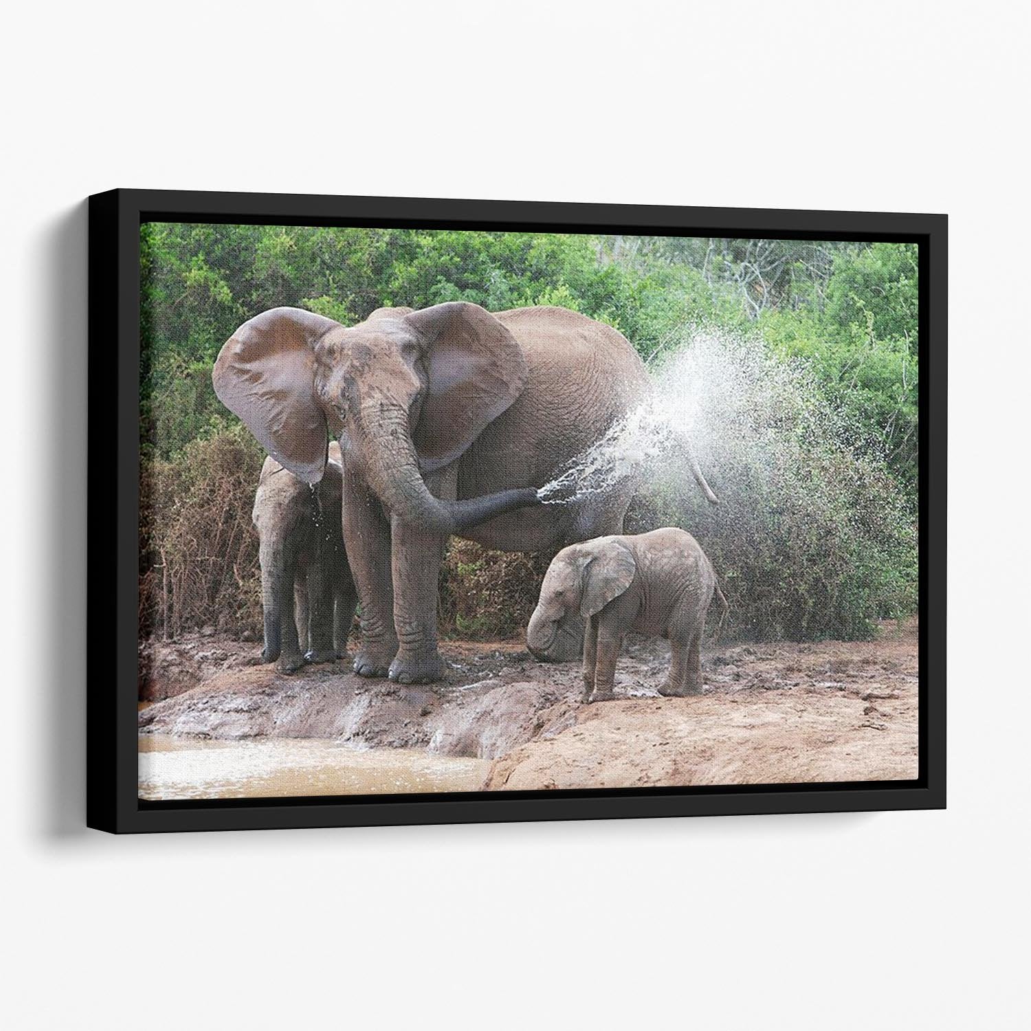African elephant mother and baby cooling off Floating Framed Canvas - Canvas Art Rocks - 1