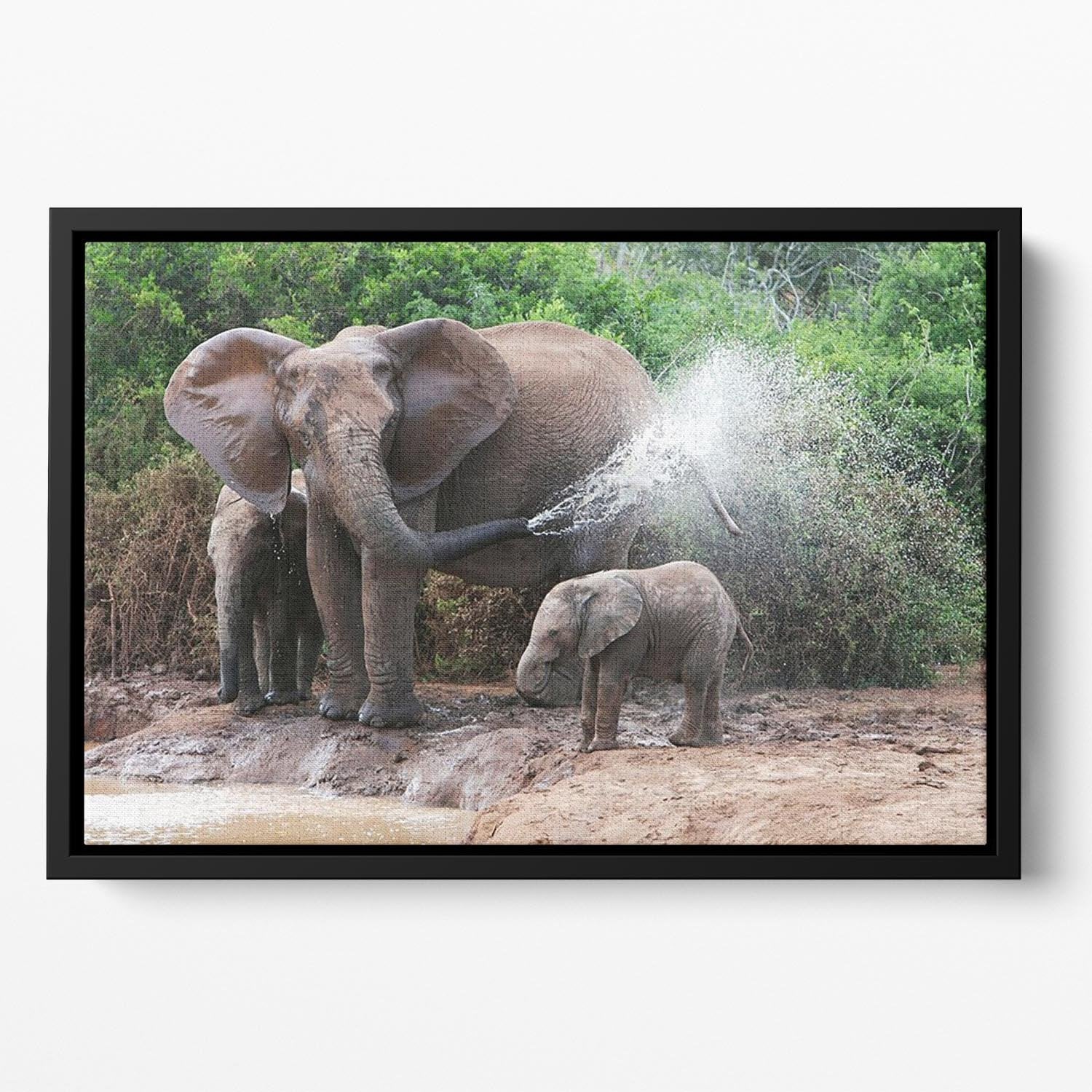 African elephant mother and baby cooling off Floating Framed Canvas - Canvas Art Rocks - 2