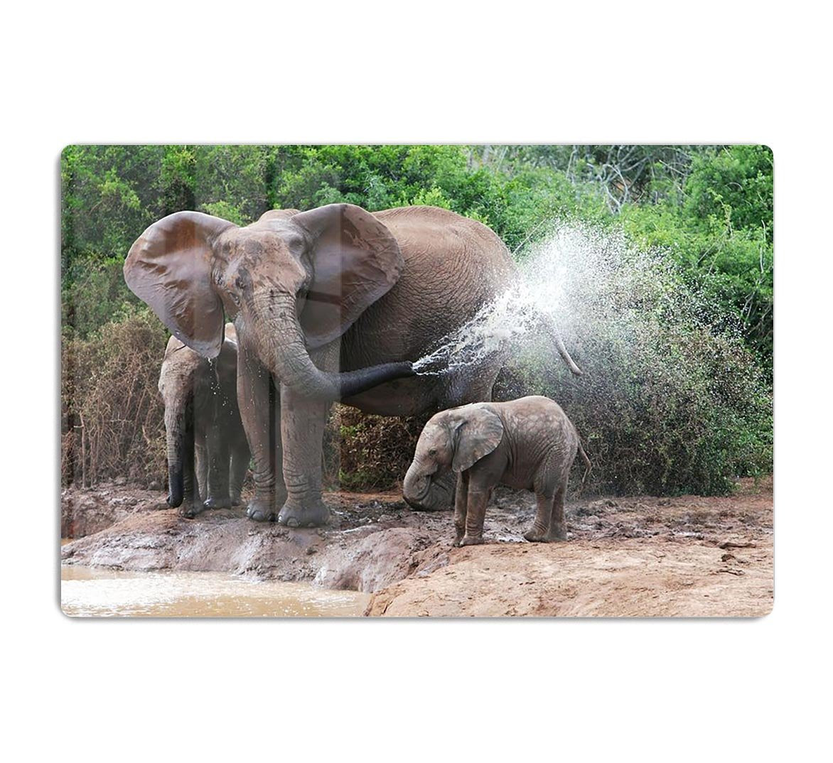 African elephant mother and baby cooling off HD Metal Print - Canvas Art Rocks - 1