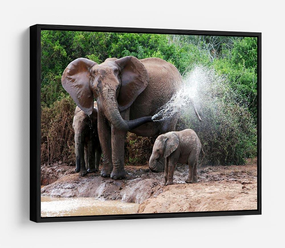 African elephant mother and baby cooling off HD Metal Print - Canvas Art Rocks - 6