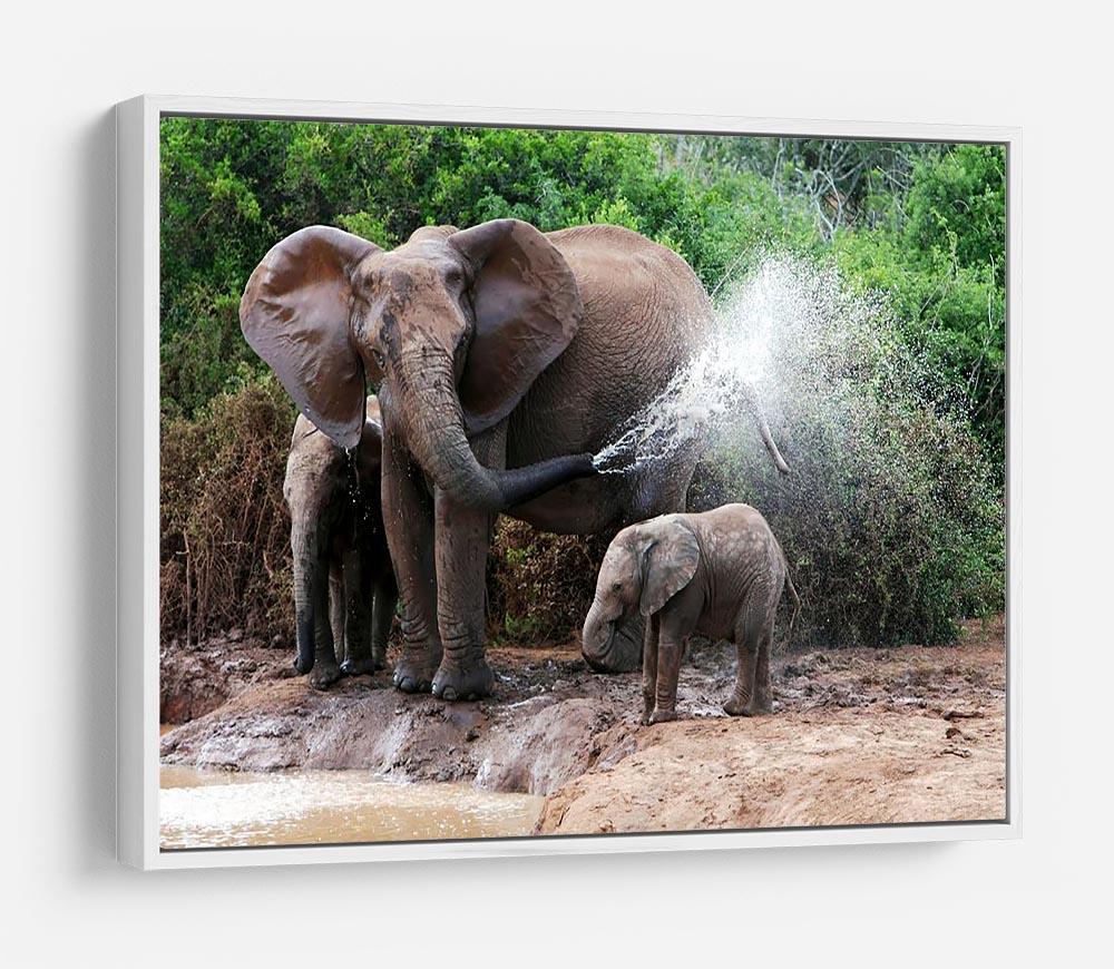 African elephant mother and baby cooling off HD Metal Print - Canvas Art Rocks - 7