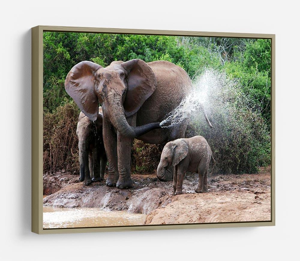 African elephant mother and baby cooling off HD Metal Print - Canvas Art Rocks - 8
